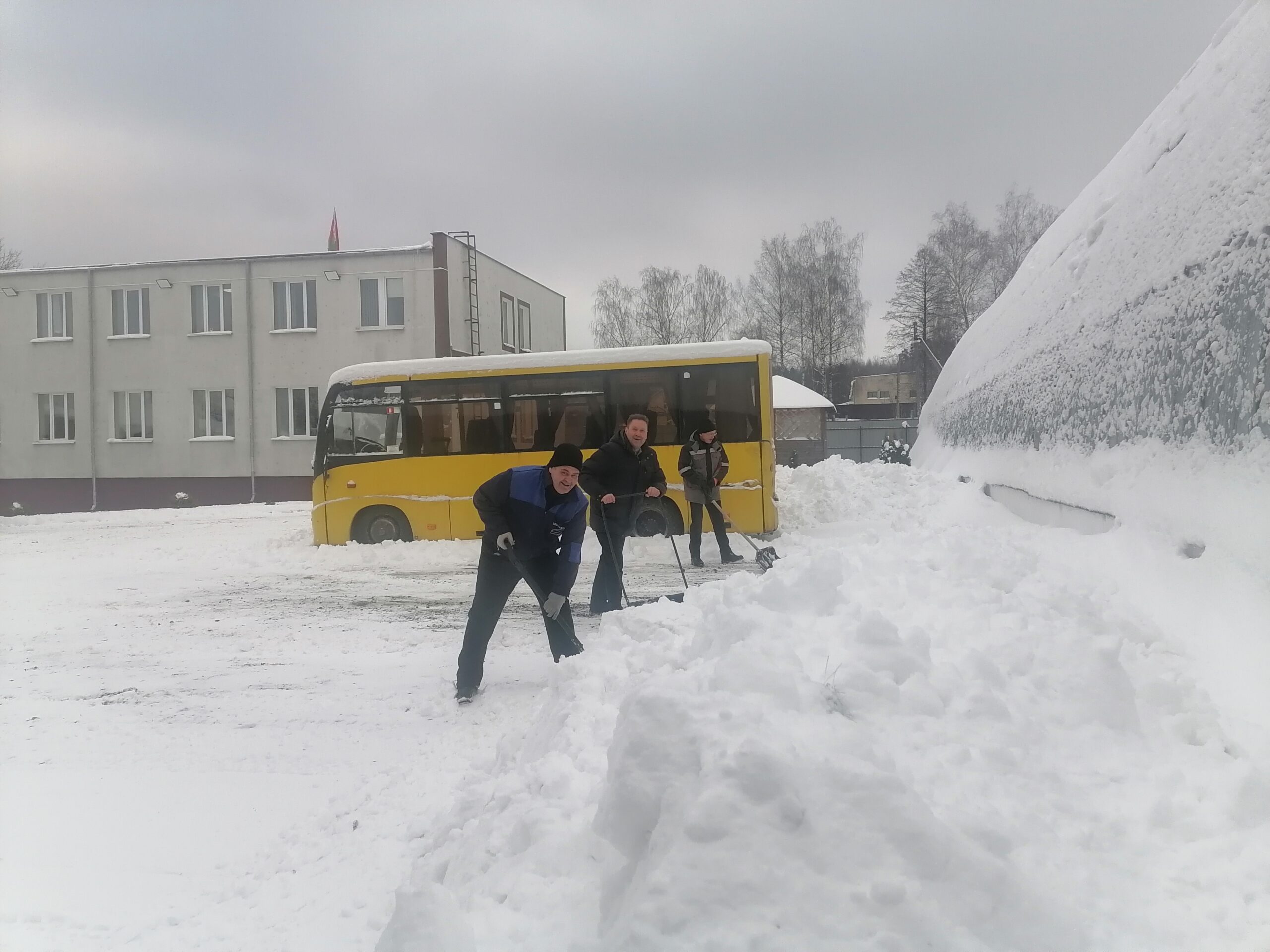 Очистим двор вместе